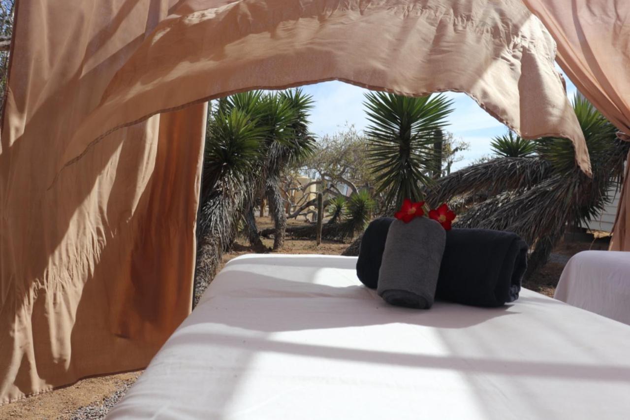 Experience El Cardonal Exterior foto